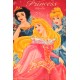 Couverture Plaid Disney "Princesse" Rose foncé