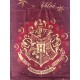 Drap de bain 'Harry Potter'